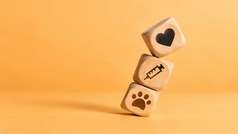 It Can’t Wait Until Monday: Veterinary Emergencies Every Pet Parent Should Know About and Symptoms to Never Ignore