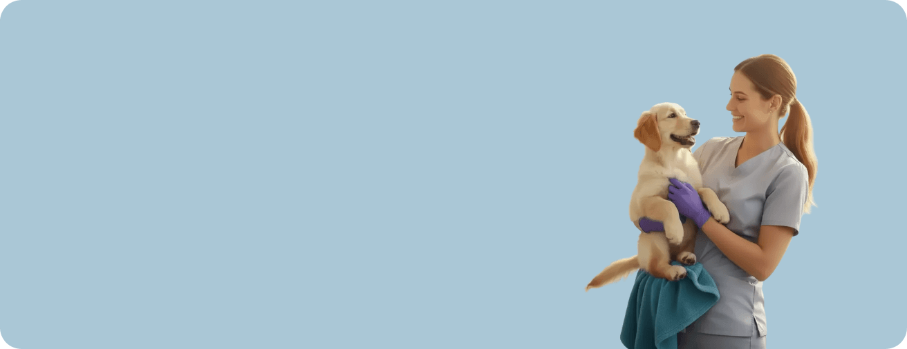 Golden dog in nature